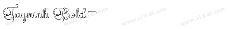 Tayninh Bold字体转换
